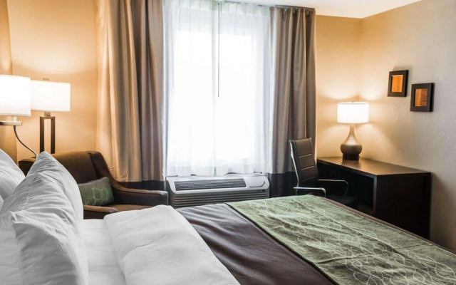 Comfort Inn & Suites Pharr - McAllen
