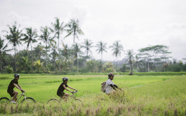 Alila Ubud. Bali