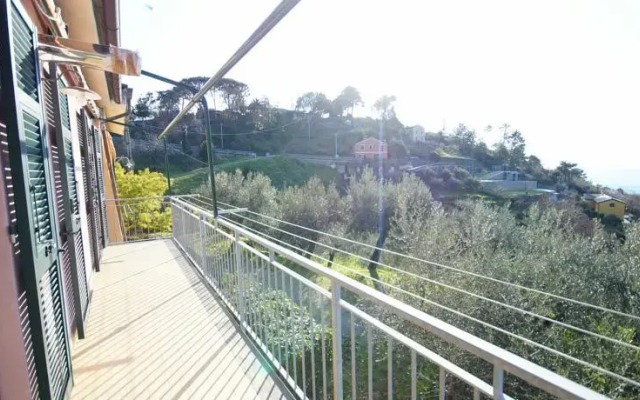 Rose Panorama