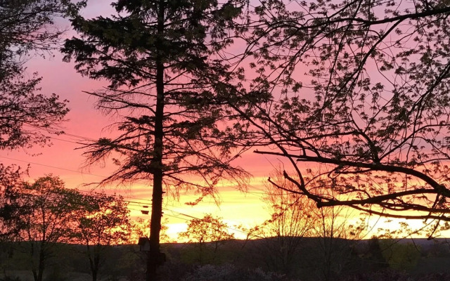 Carriage Stop Bed & Breakfast