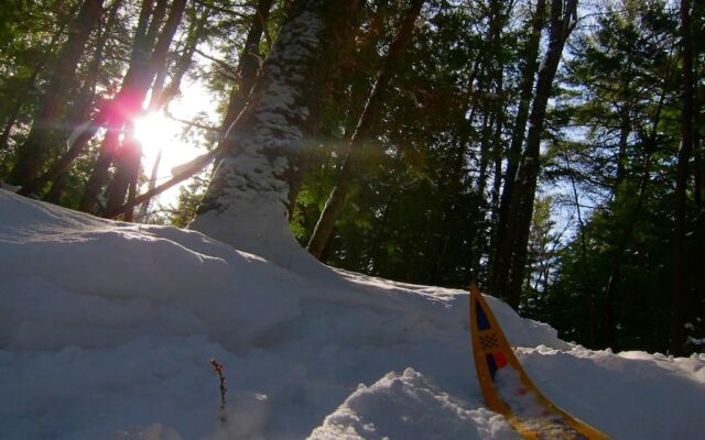 The Arlington Hotel - Hostel