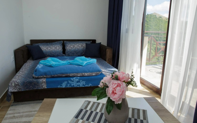 Dvori Sky View E13 Kopaonik - free private parking