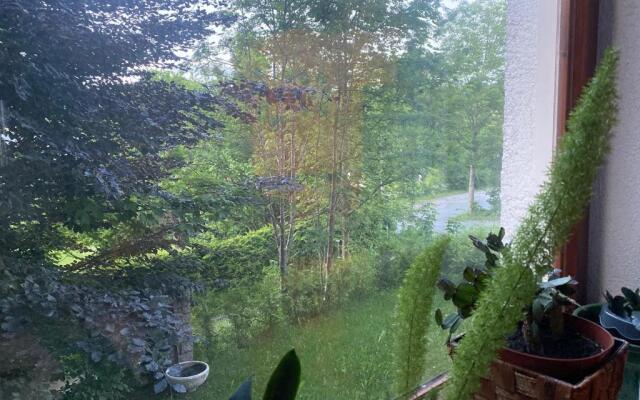 Pension Waldblick