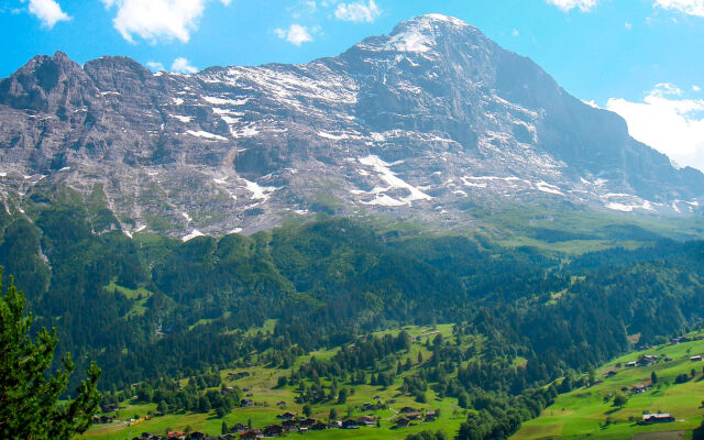 Chalet Bergfink