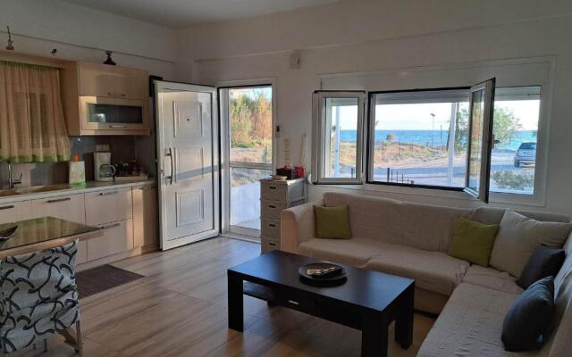 Paximadia - 1 bedroom apt - beach front
