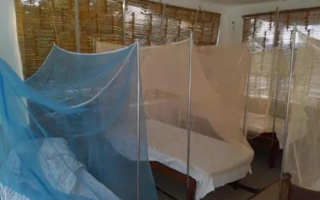 Blue Lotus Hostel