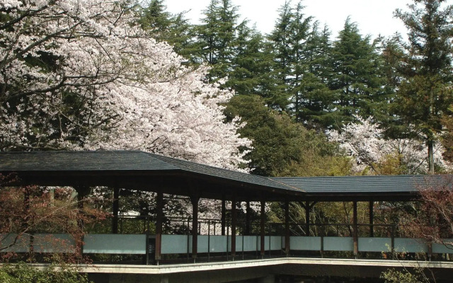 Tatsunokuchi Onsen Matsusaki