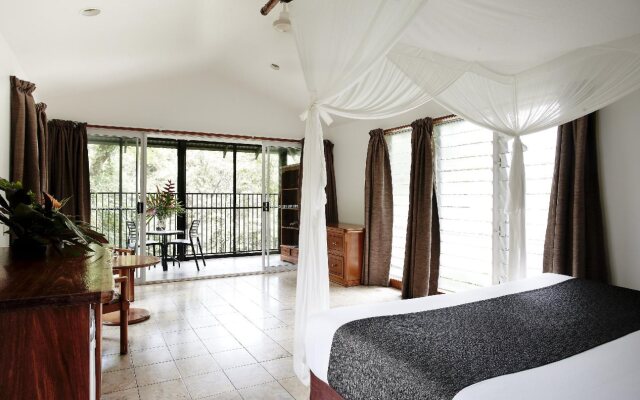 Daintree Ecolodge