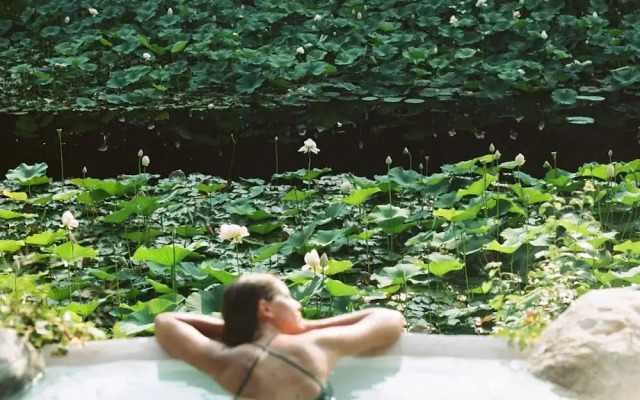 Tranquil 1BR Villa in Revislate