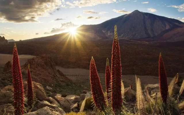 Oasis Penthouse in Santa Cruz by Edén Rentals