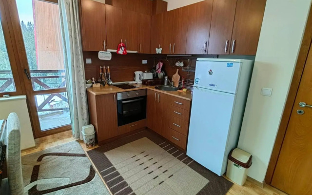 Studio Love Pamporovo