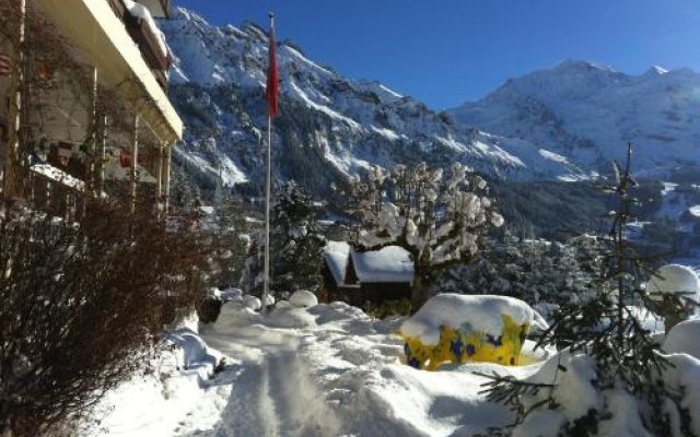 Hotel Bellevue Wengen - Best view in town