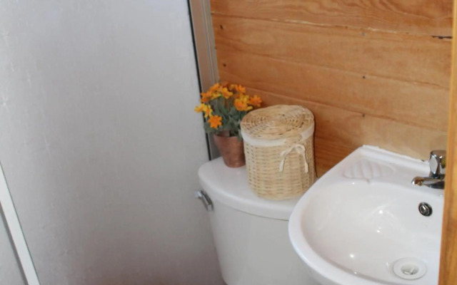 Cabañas Alfa Colbun Machicura