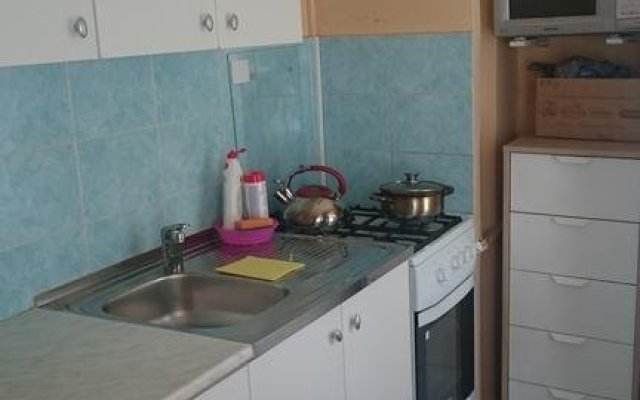 Homestay Gagarinskaya 15