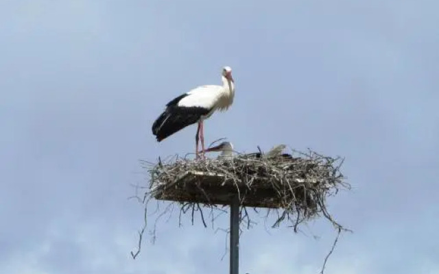Montimerso Skyscape Country House