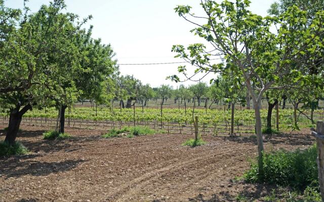 SA Parellada - Premium