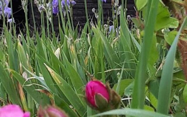 Villa du Cerf Thibault