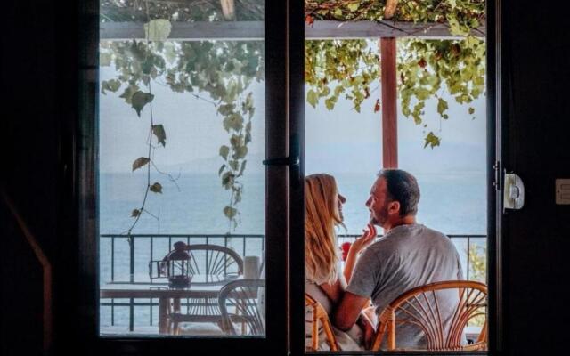 Zennova #1 Mount Athos & Sea View