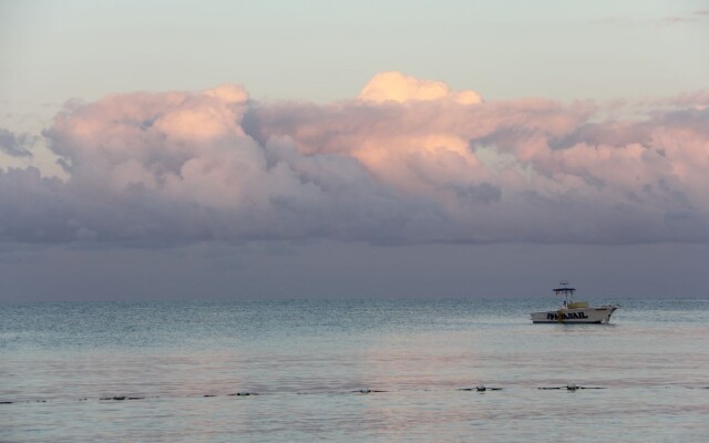 Negril Palms