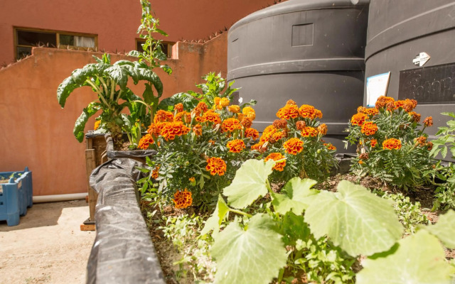 Casa Estrella Valenciana Hotel Boutique