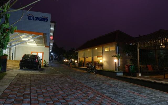 Wisma Lovebird