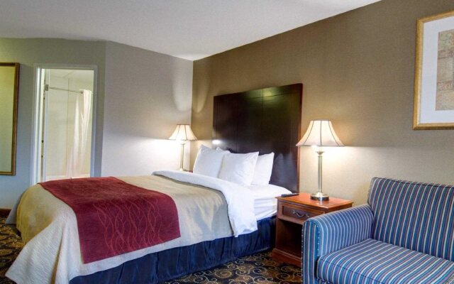 Comfort Inn Hadley - Amherst