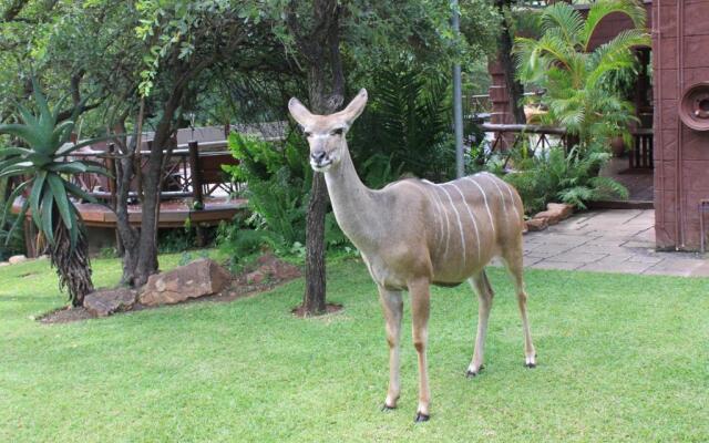 Grand Kruger Lodge and Spa