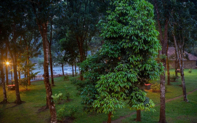 The Quiet by the river