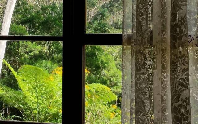 Bellbird Cottage B&B