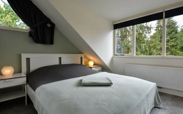 Modern Holiday Home in Hulshorst With Terrace