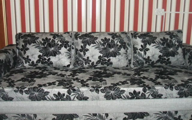 Apartment on Robitnycha