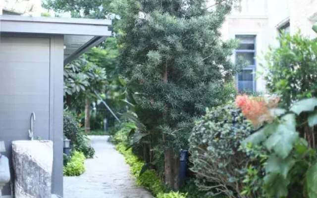 White Dolphins Villa