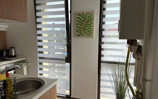 Central Studio Bucur