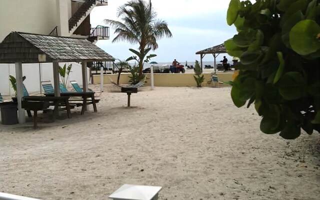 Coquina On The Beach