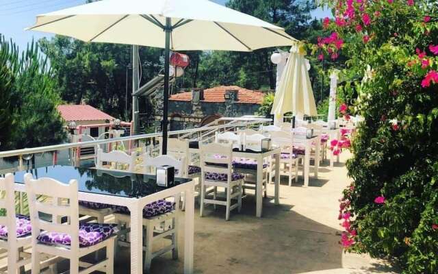 Silver Pine Hotel