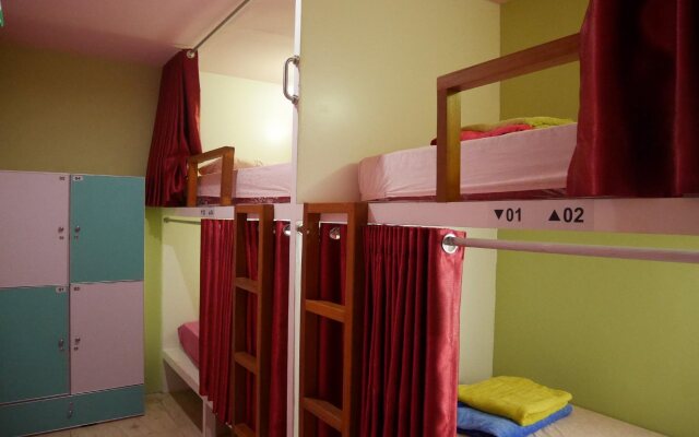 Sleepy Raccoon Hostel
