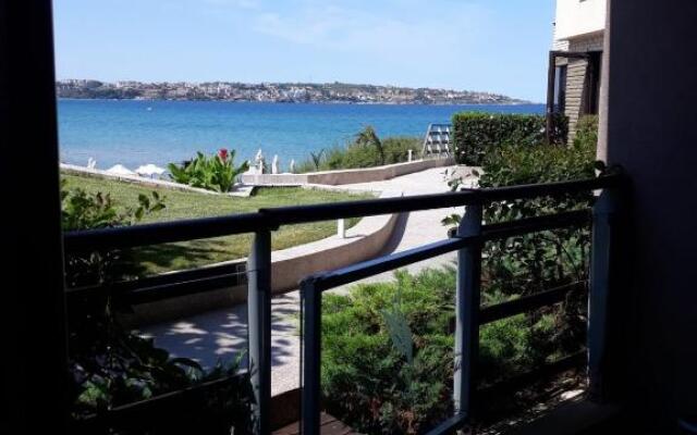 Apartment Sand Lilies