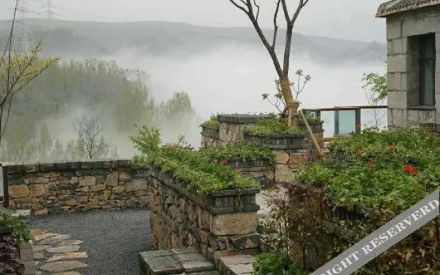 The Yard On The Cloud
