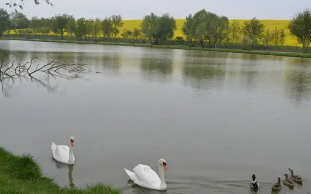 Sombereki Horgásztó - Rönkház - фото 5