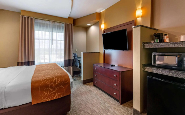 Comfort Suites Perrysburg - Toledo South