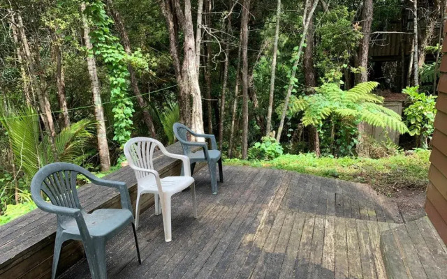 Bush , birds and relaxing moments
