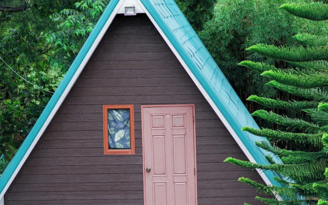 Yellowstone Cheewa View