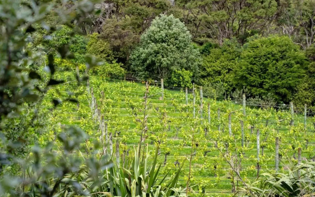Winemakersloft