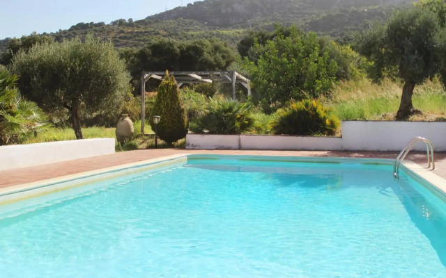 La Gabbianella E Il Gatto