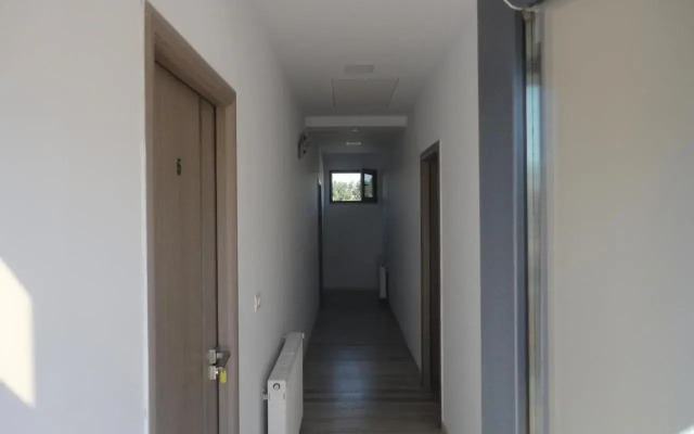 Greenstone Land - Corbu