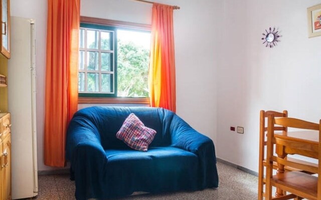 Live Arico Listada 1