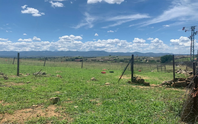 La Almazara de Valdeverdeja