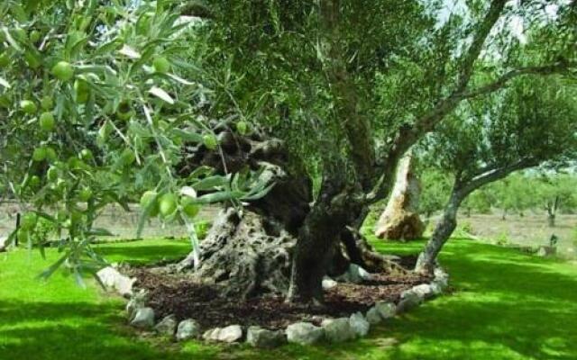 Quinta dos Tesouros