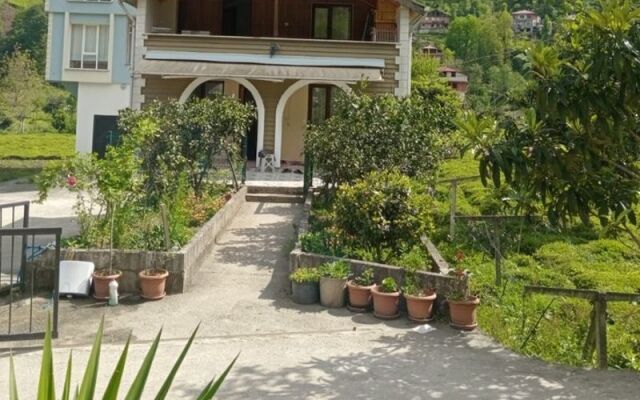 Topcu Villa