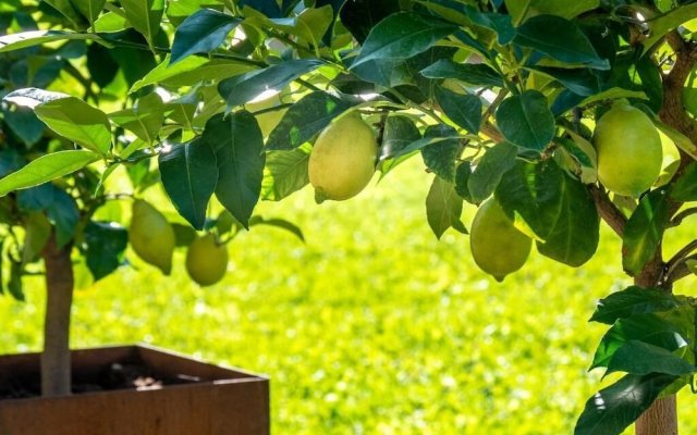 Gartenheim B&B Tramin